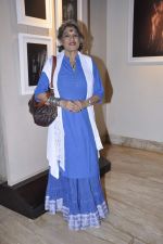 Dolly Thakore at the Bharti Vidyapeeth photo exhibition in Tao Art Gallery, Mumbai on 1st Jan 2013 (17).JPG